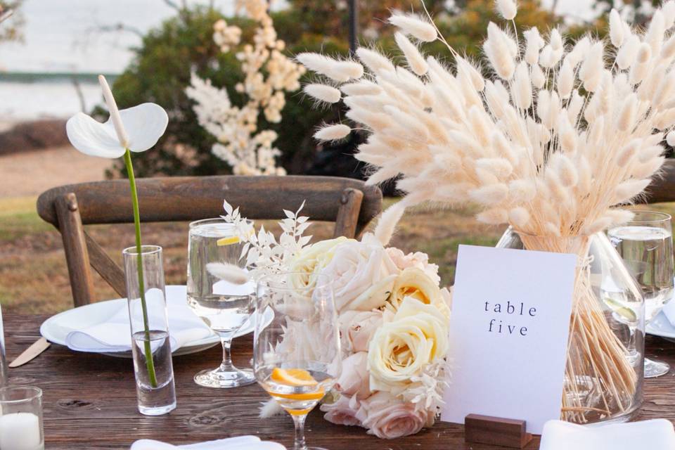 Santa Barbara Beach wedding