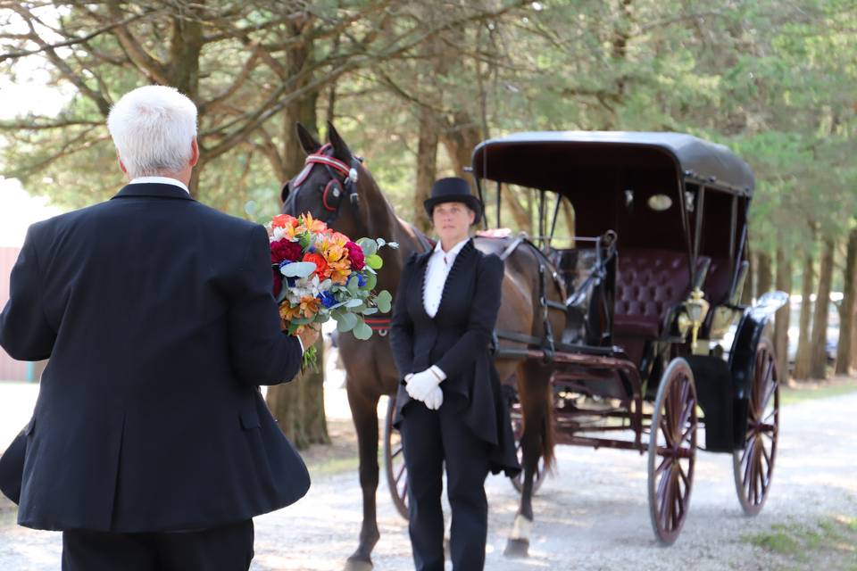 Carriage a waiting bride