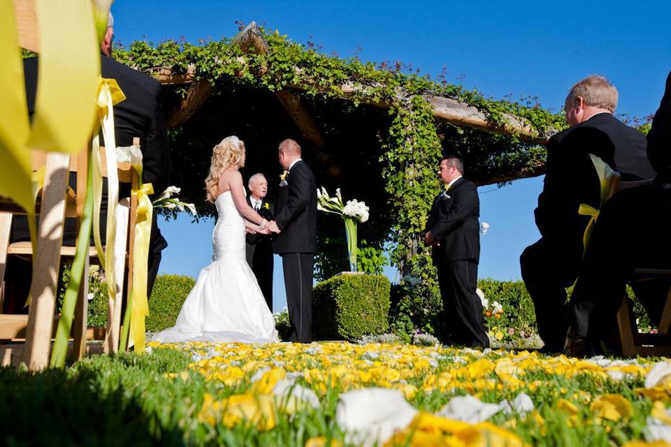 Stephanie & Jorden, Vineyards