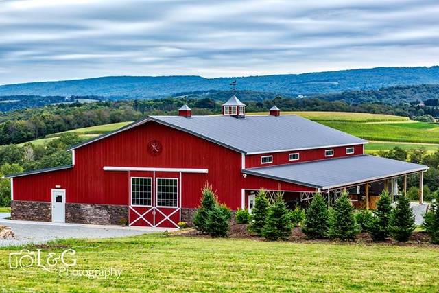 The Company Stables