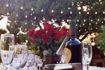Blue Rose Designs