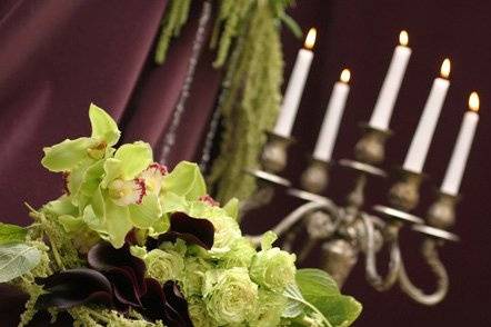 Blue Rose Designs