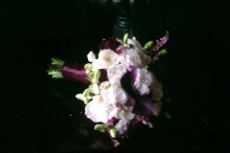 Blue Rose Designs