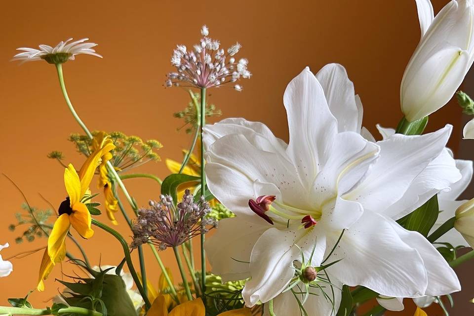 Yellow flowers