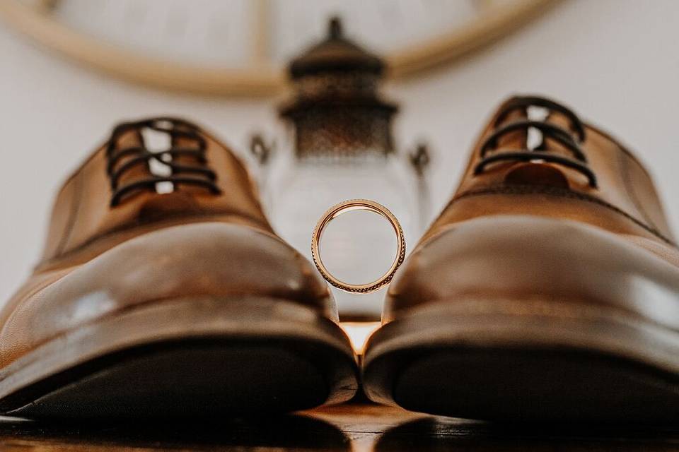 The Lion Lens Photography