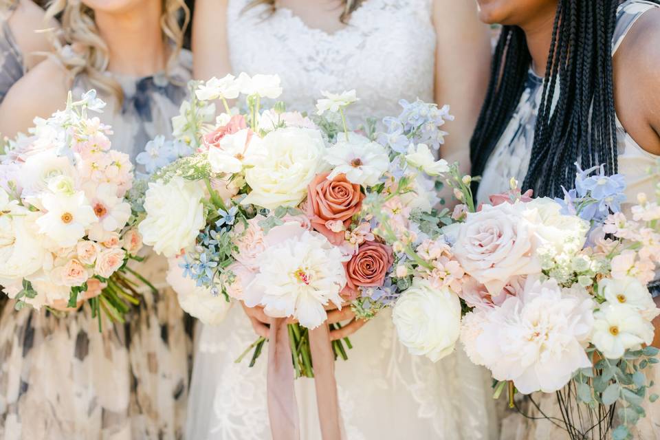 ALLISON ERMON PHOTOGRAPHY