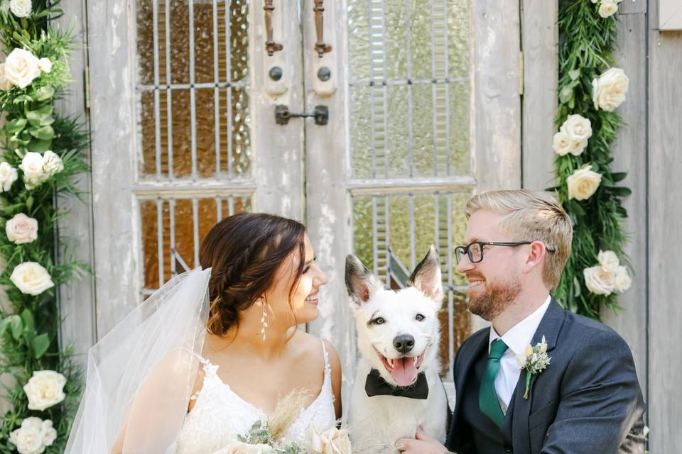 ALLISON ERMON PHOTOGRAPHY