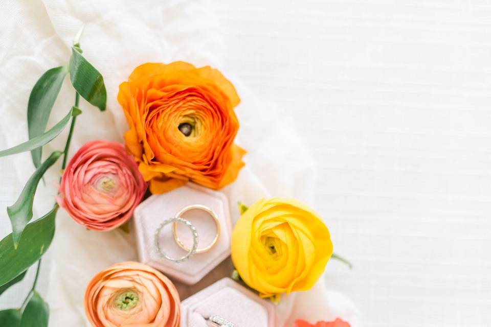 ALLISON ERMON PHOTOGRAPHY