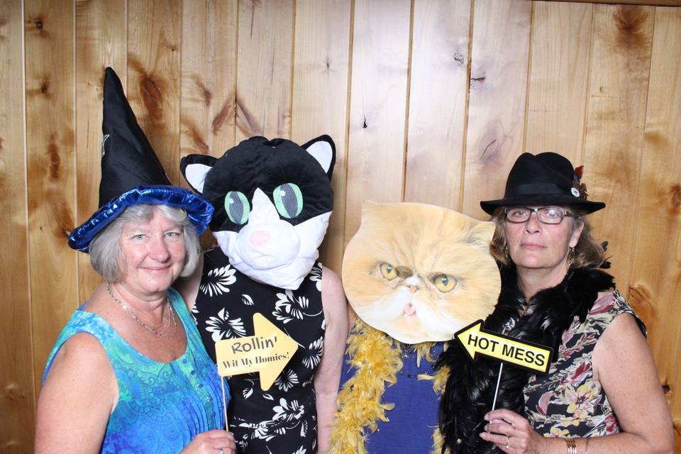 Cats, hats and caption cards - DC Selfie Spot