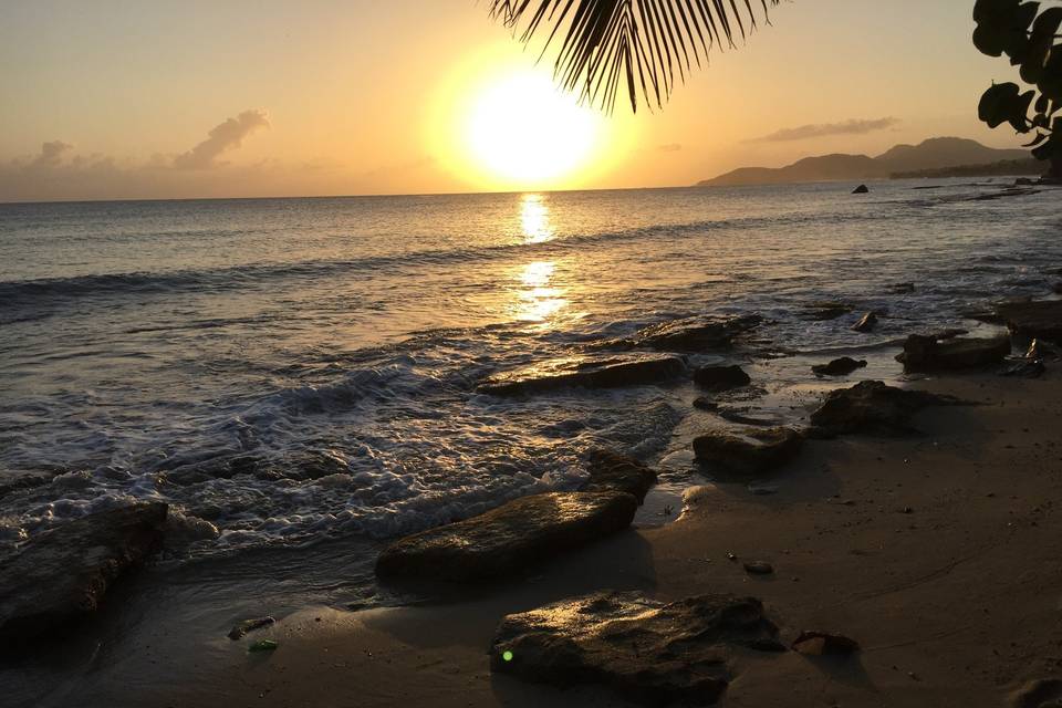 Weddings in Vieques