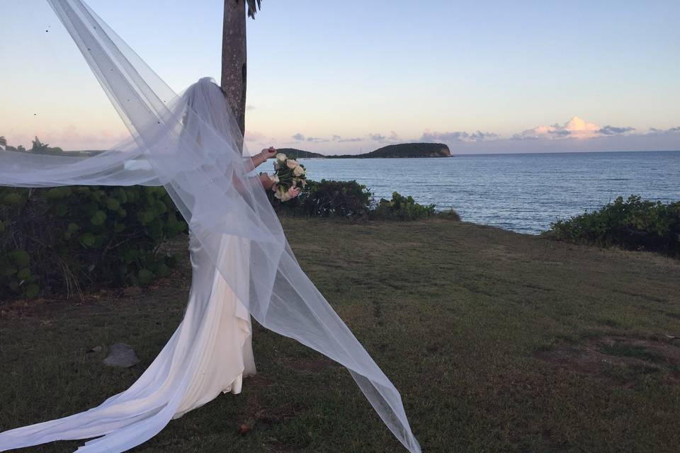 Weddings in Vieques