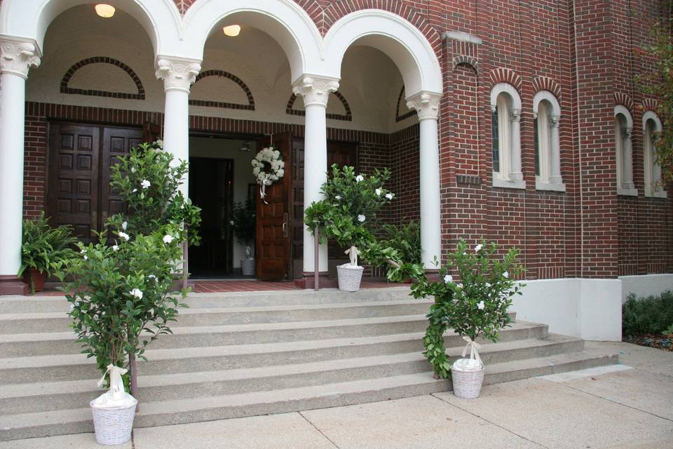 Gardenia Tree Entrance