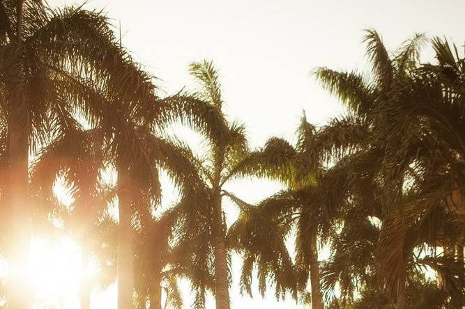 Jessica Veltri Photography
