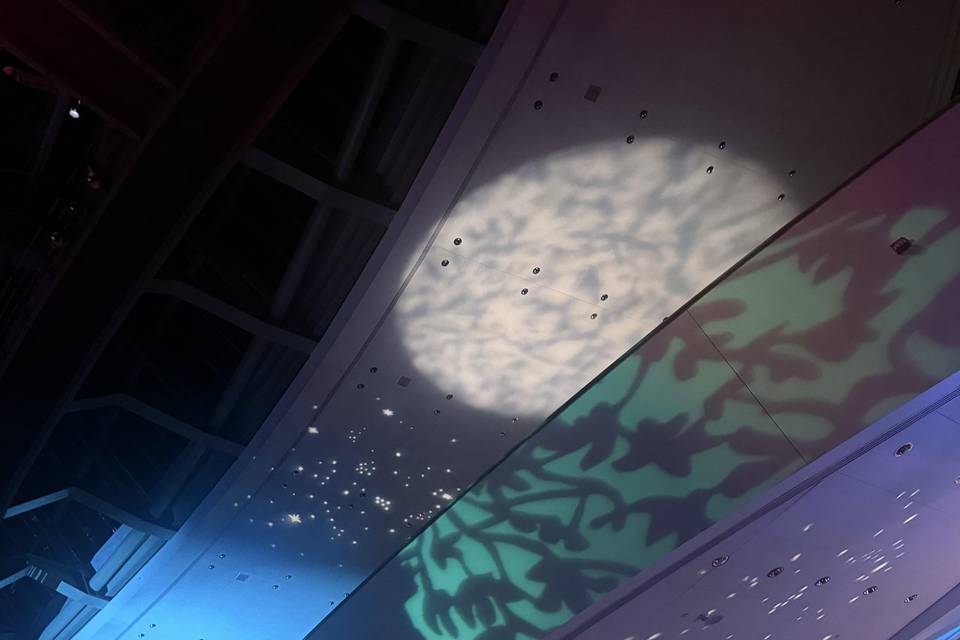 Our lighting