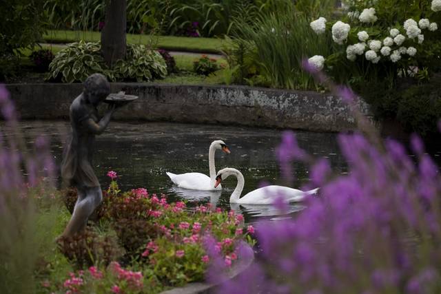 Waterfront Gardens