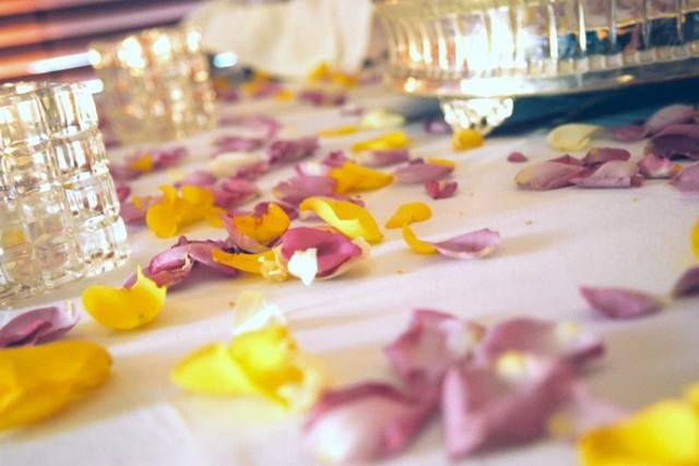 Simple Elegance Wedding & Event Planners