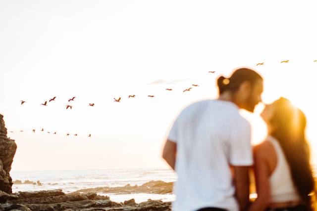 Megan McCullor Photography