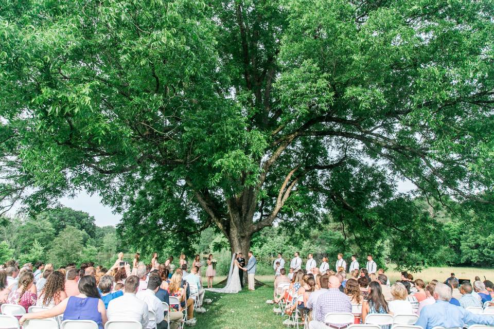 Macy O'Connell Photography