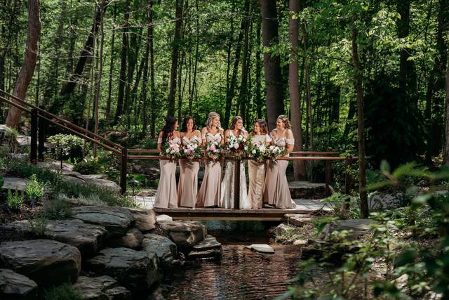 Bridal Party on Bridge
