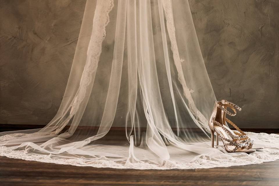 Veil and shoes