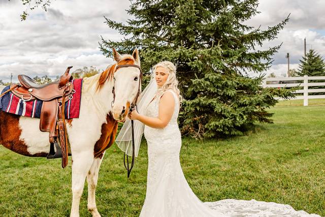 We are equine friendly