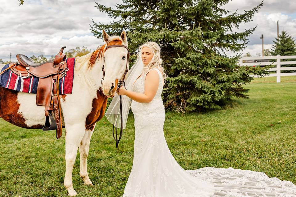 We are equine friendly