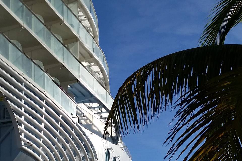 Cruises -- ocean & river cruises