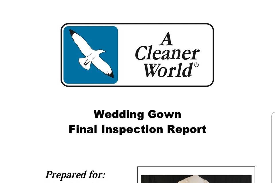 Inspection Report pg1
