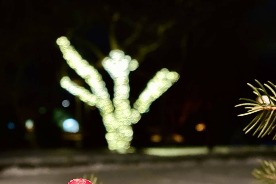 Winter celebration