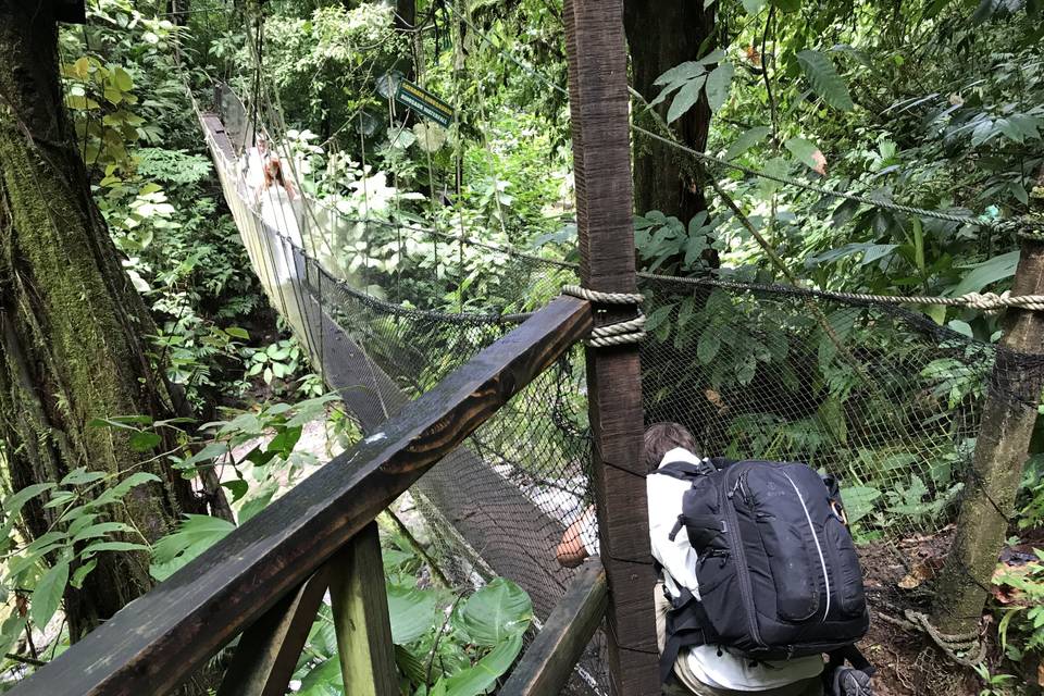 Hanging bridge