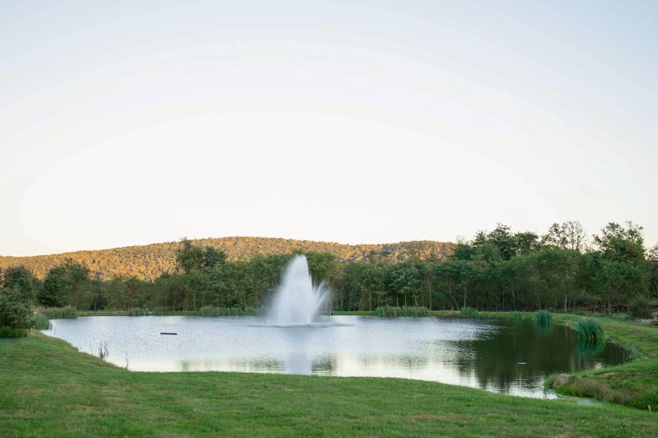 Spectacular Fountain & Pond!