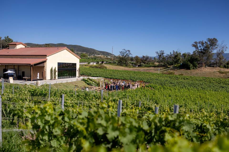 Danza del Sol Winery