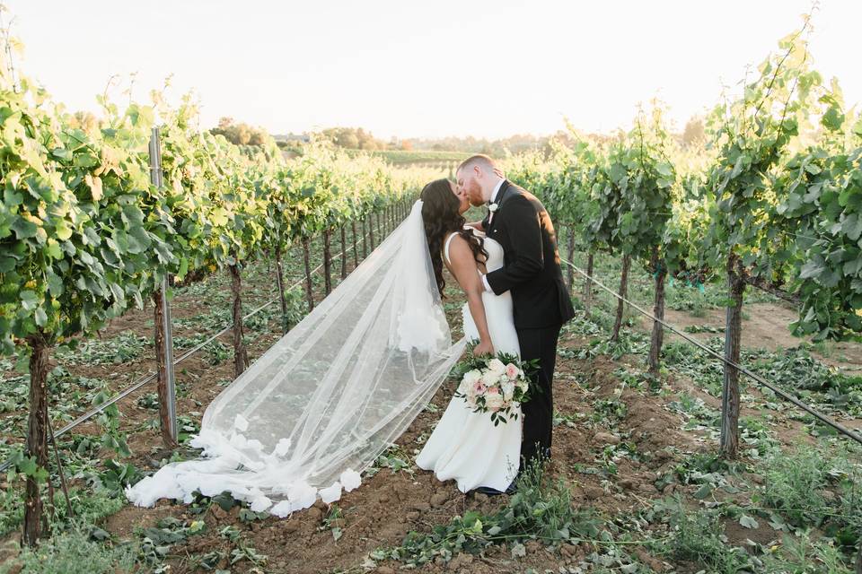 Couple in vineyards