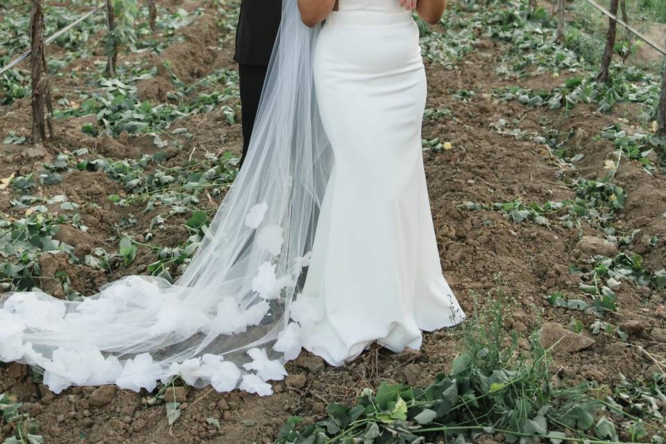Couple in vineyards