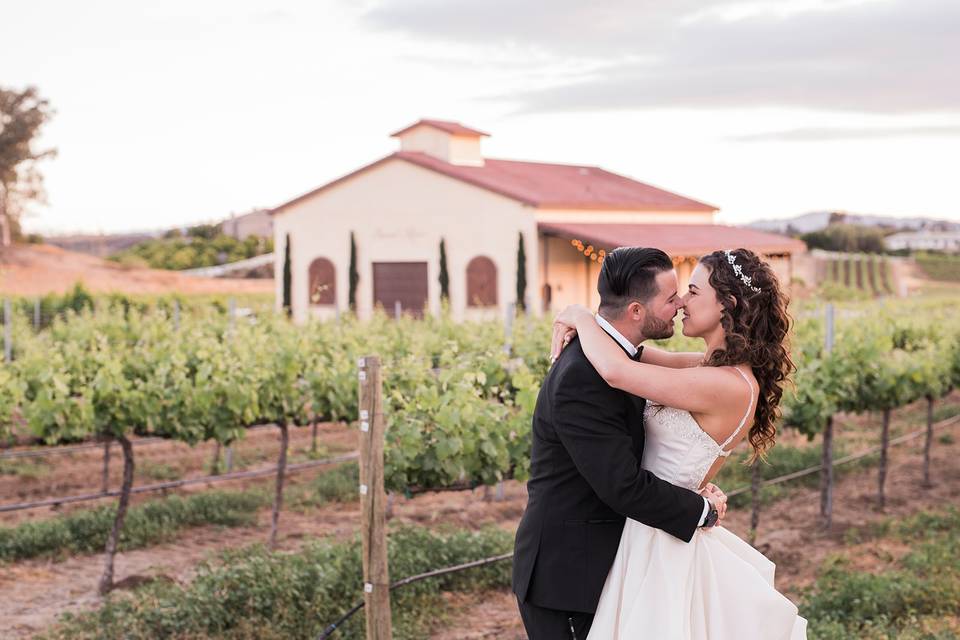 Kiss by the vineyards