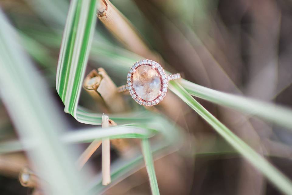 Brittney Sue Photography