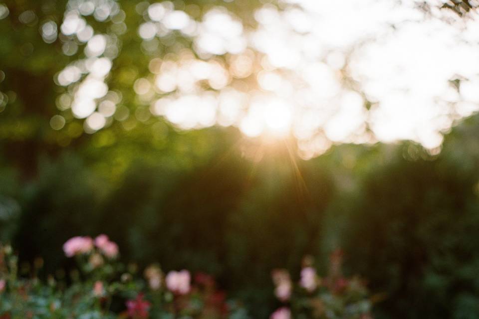 Garden wedding