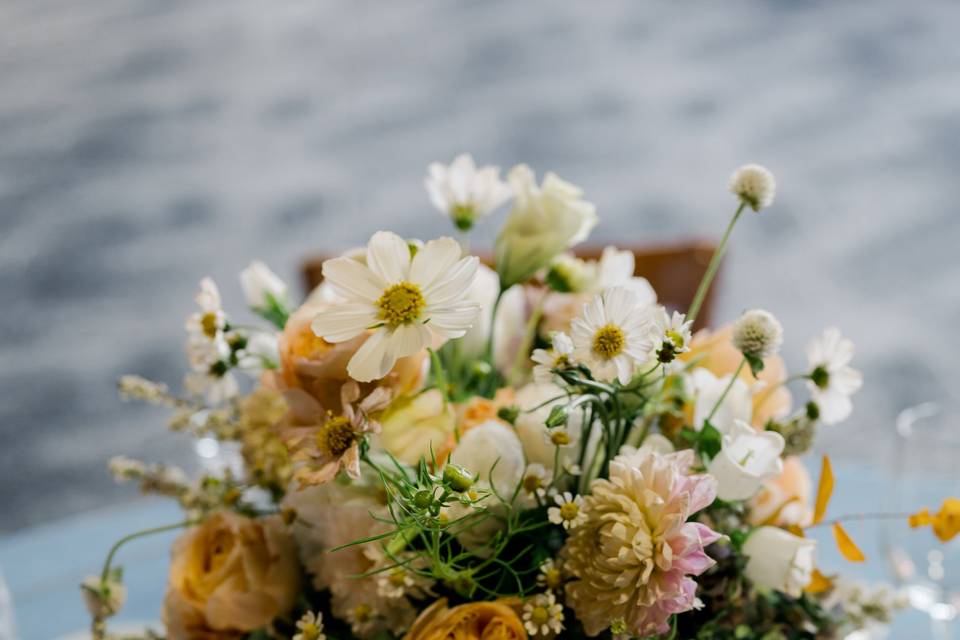 Mountain flowers