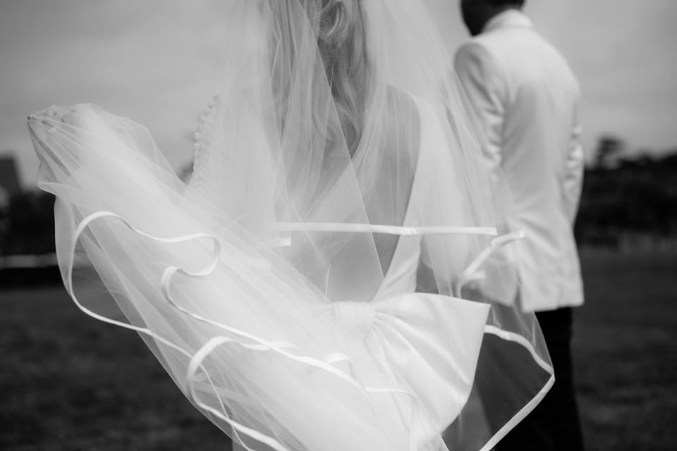 Wedding Veil