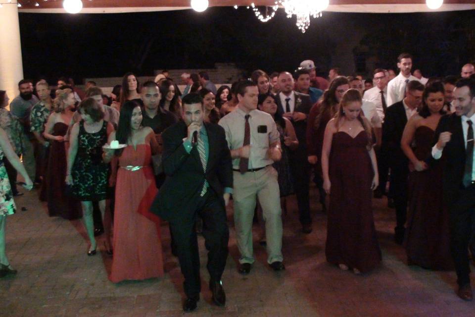 Wedding crowd