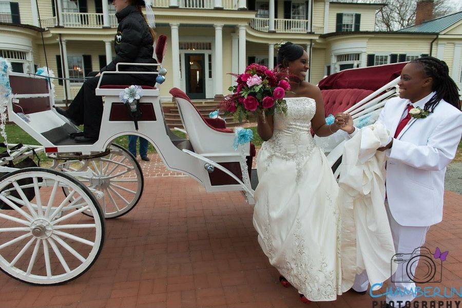 Couple beside the carriage