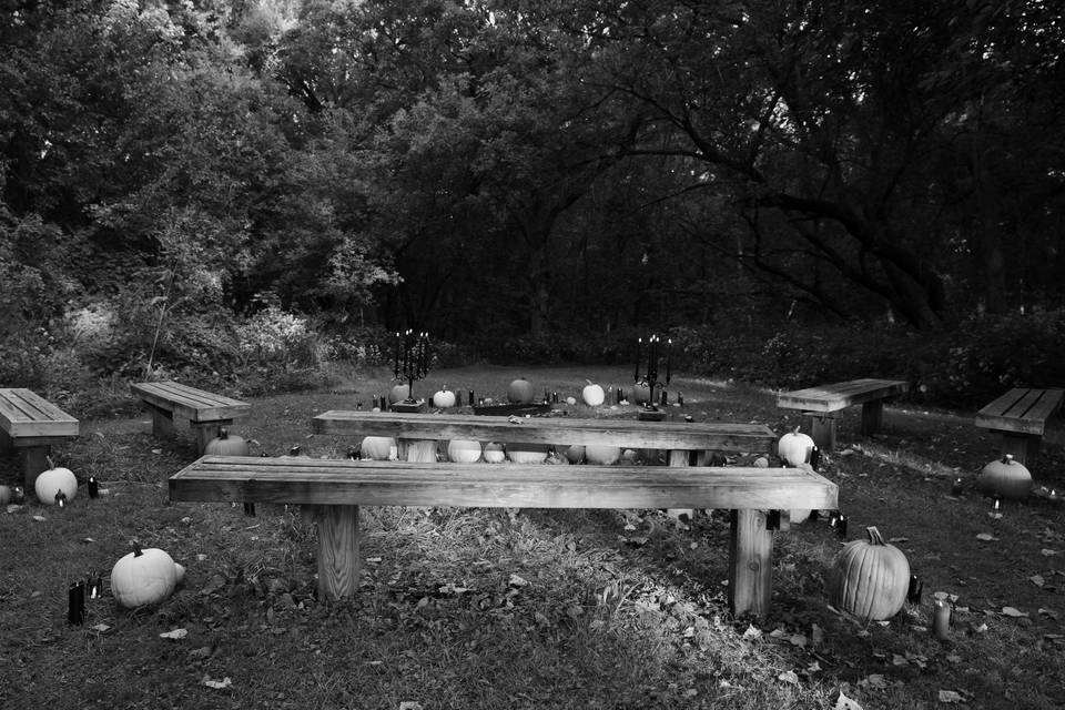 A Wooded Ceremony