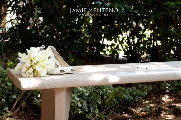 Jamie Zenteno Photographs