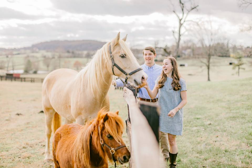 The Inmans Photo and Video