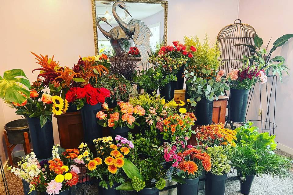 Salisbury Floral Design