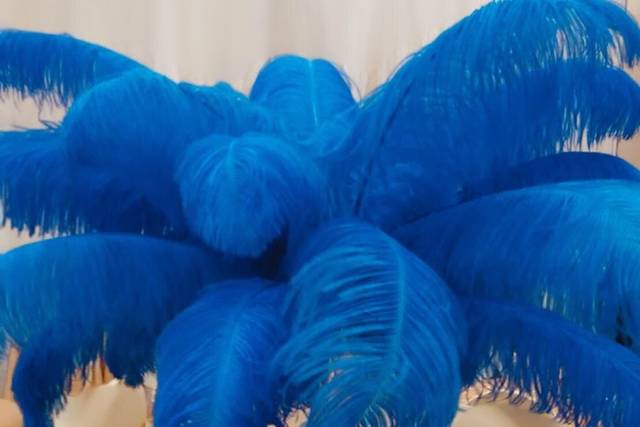 Blue feathers
