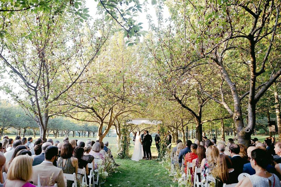 A Garden Wedding Party