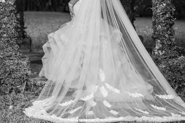 Bride + dress and veil