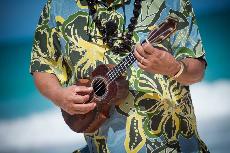 Hawaiian music with ukulele