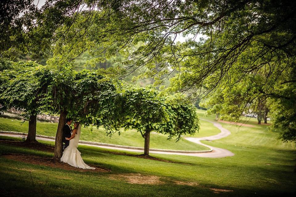 Couple under a tree